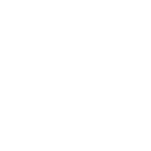 Rimonim